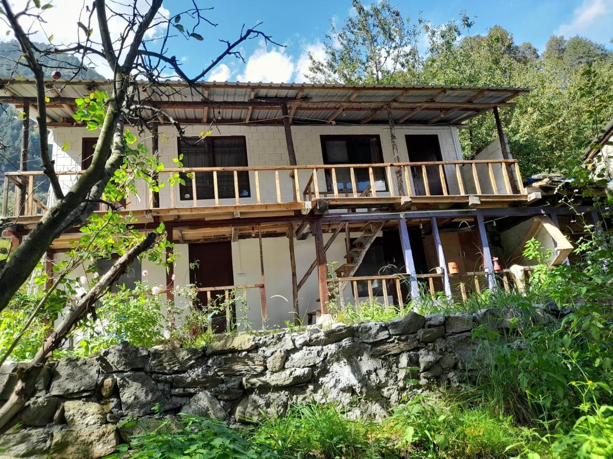 Attic Monkey - Old * Manali (Himachal Pradesh)