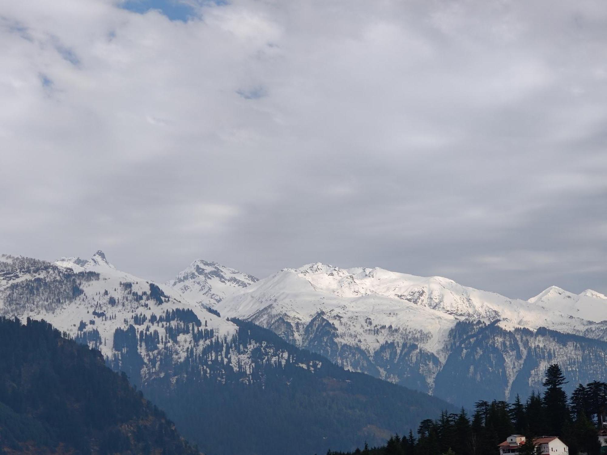 Attic Monkey - Old Hostel Manali (Himachal Pradesh)