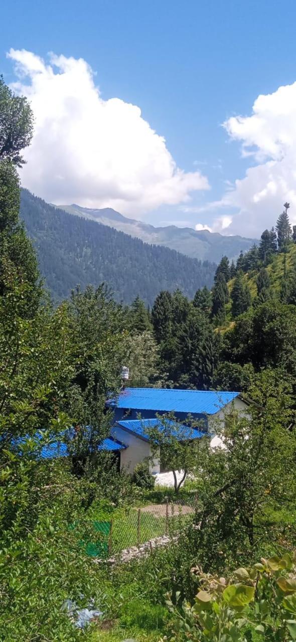 Attic Monkey - Old Hostel Manali (Himachal Pradesh)